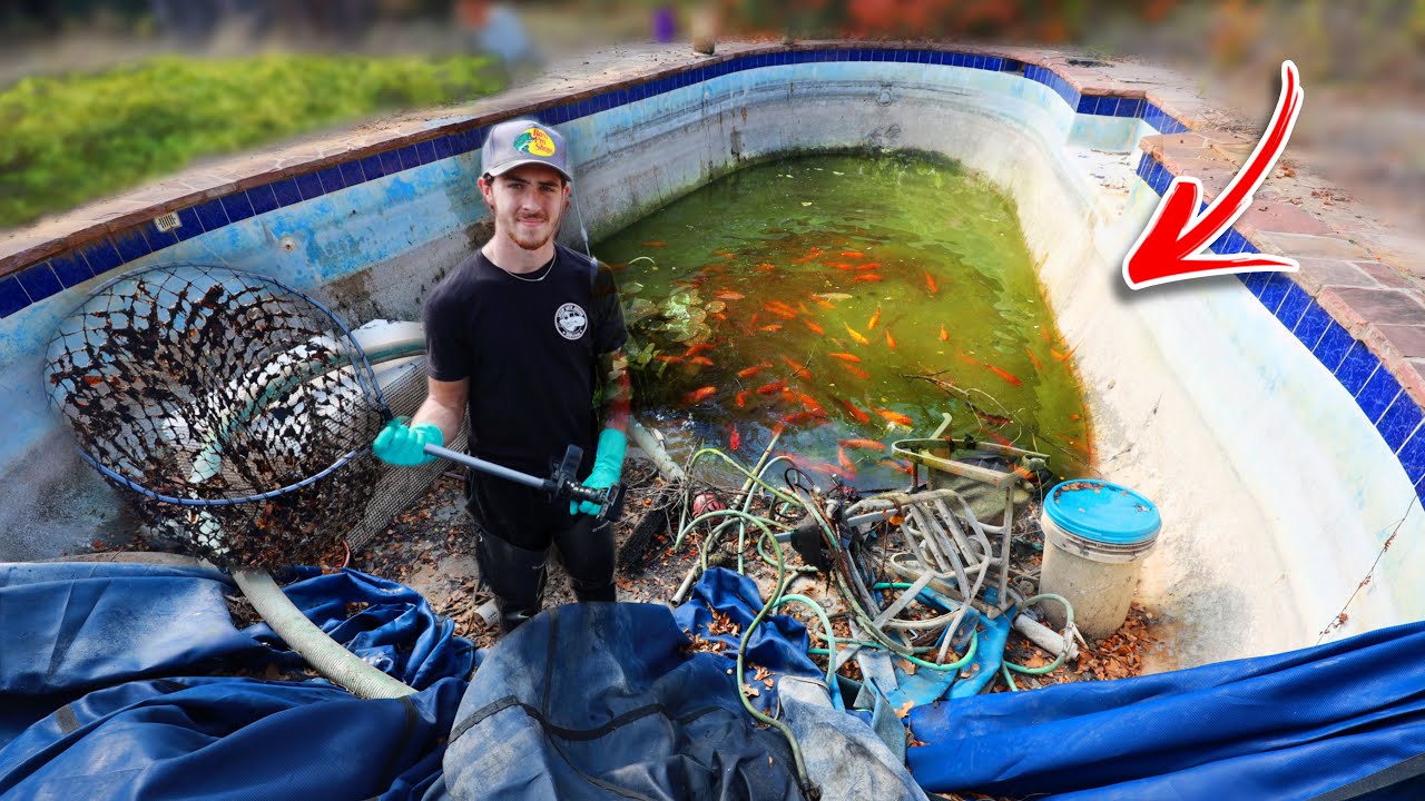 Saving Fish & Turtles from ABANDONED POOL!? (Rescue Mission)