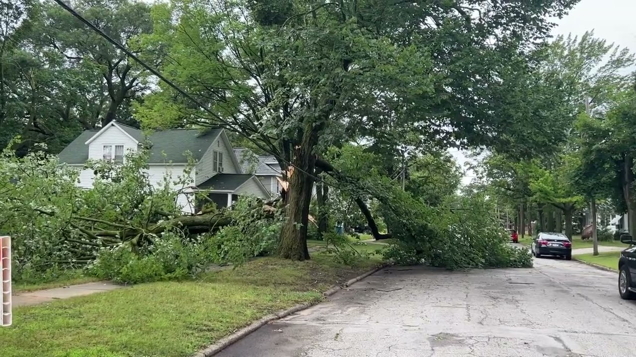Severe weather, wind downs trees in Muskegon