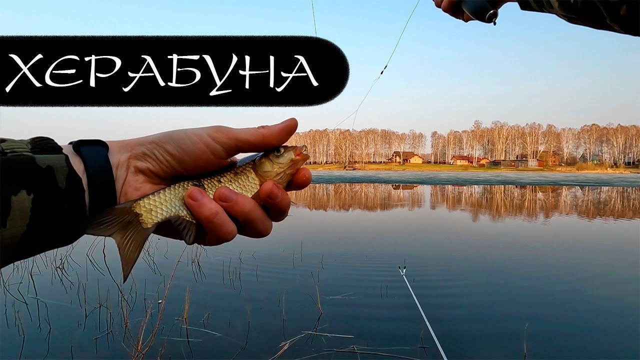 КАРАСЬ прямо из-подо льда!