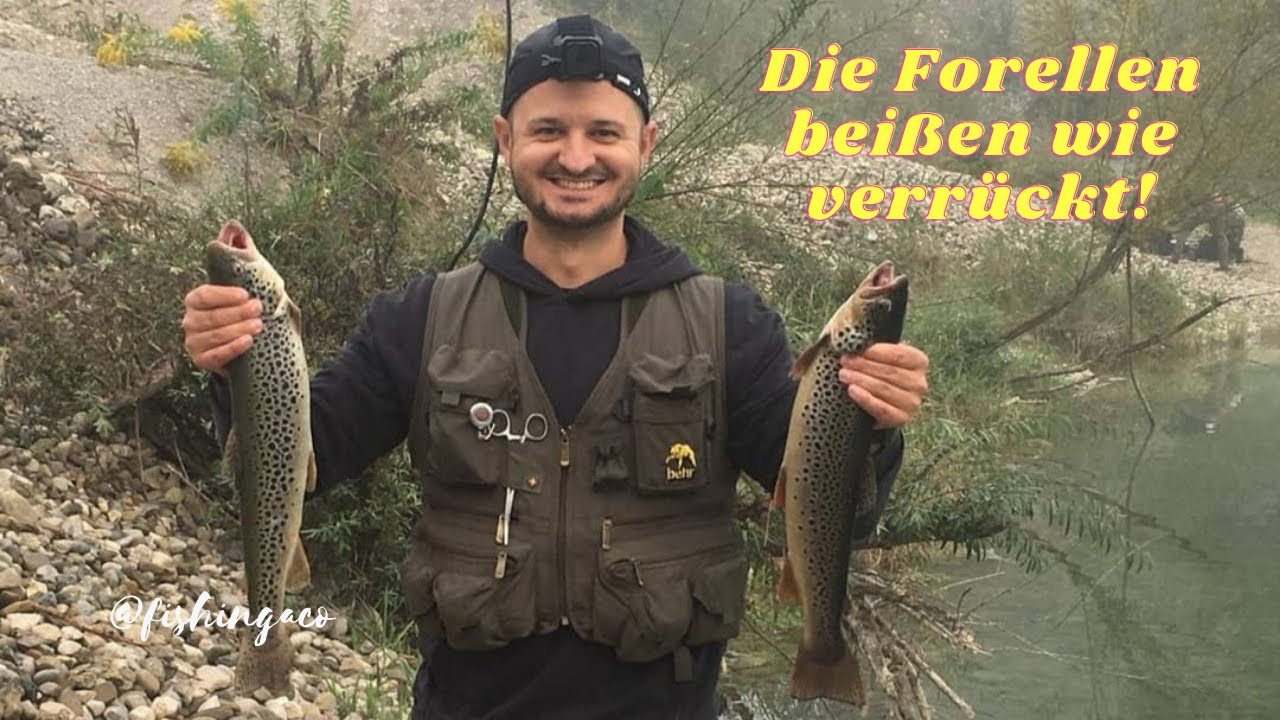 Auschneidersee - Livebiss Action!