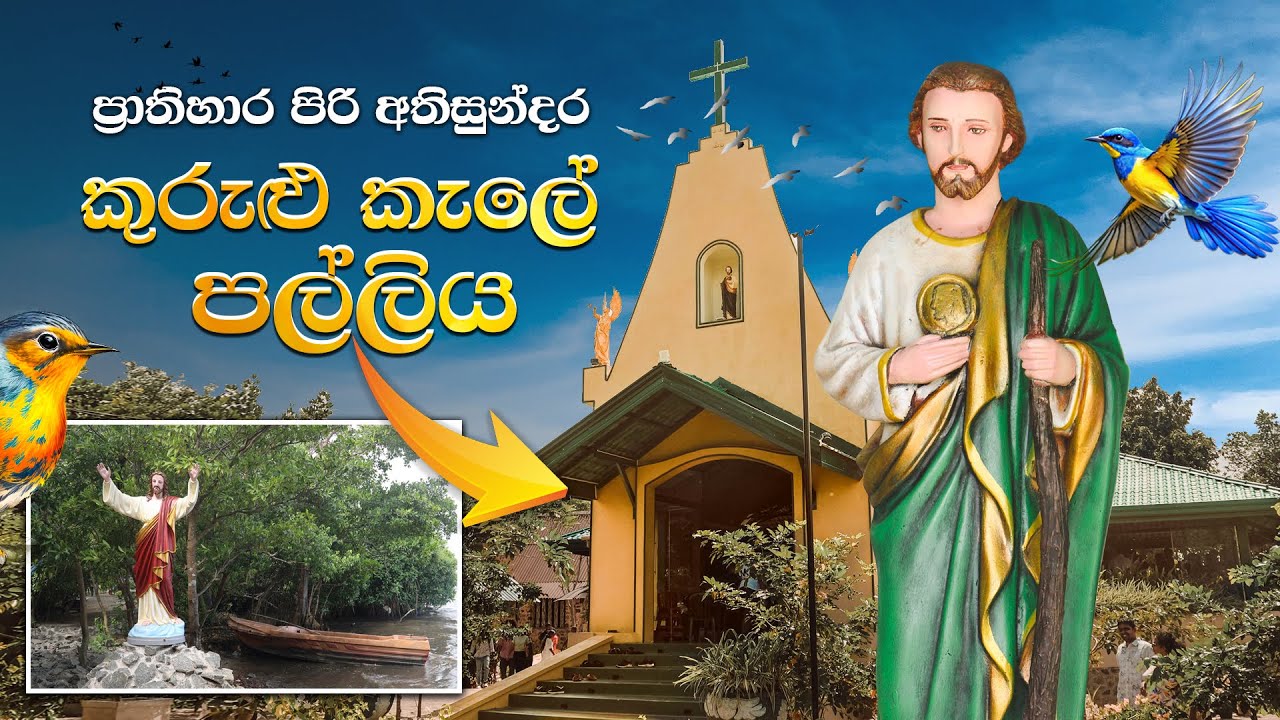 ප්‍රාතිහාර පිරි අතිසුන්දර කුරුලු කැලේ පල්ලිය - Seeduwa | kurulu kale palliya 💒🐦