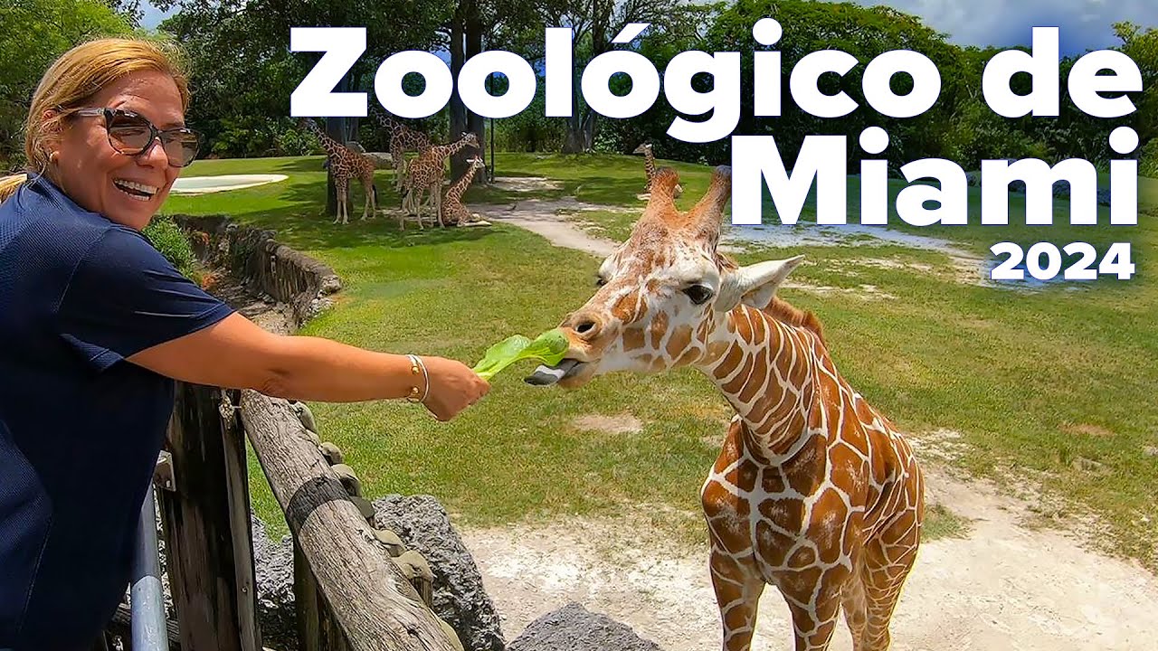 Zoológico de Miami, vale la pena visitarlo? #zoomiami