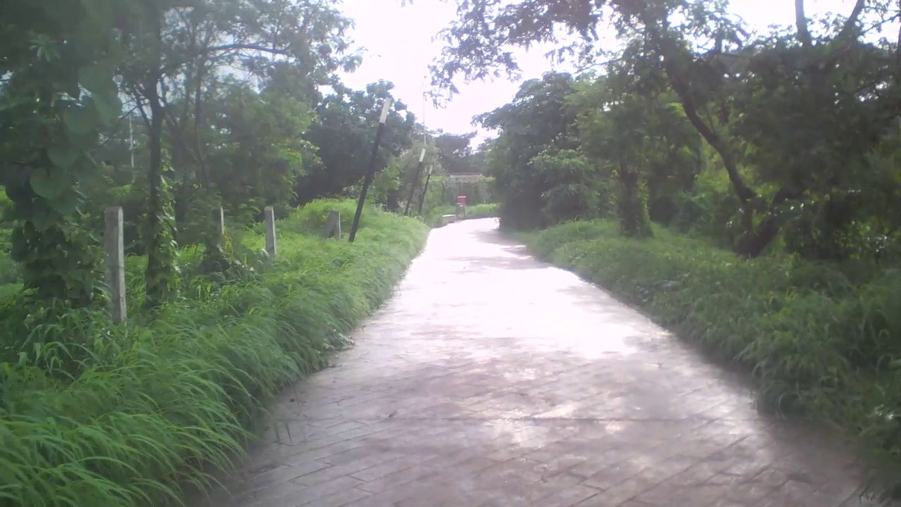 Walking into the Nerul Lake..A Beautiful Lake In Navi Mumbai