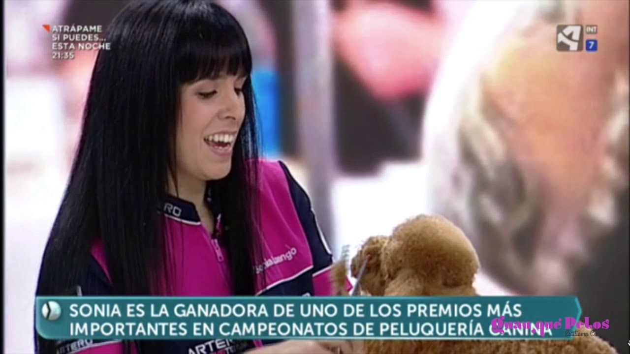 Descubre los campeonatos de peluquería canina con Sonia Luengo en Aragón Tv