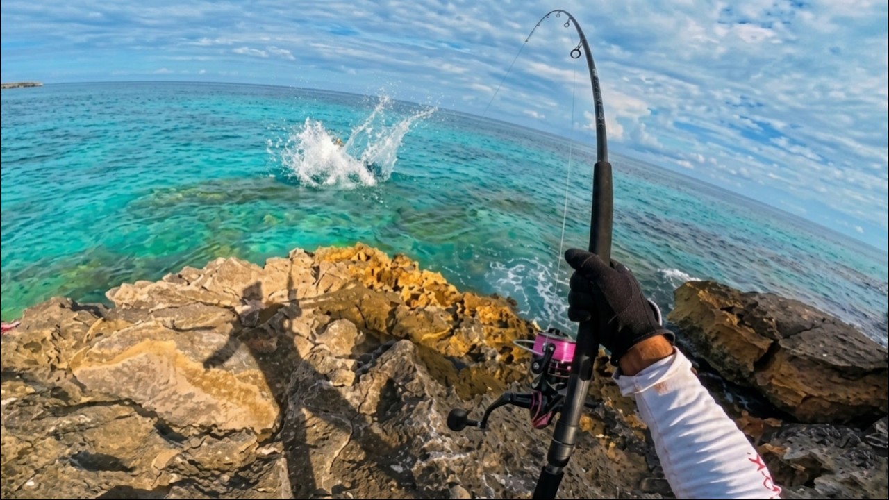 🔥 Explosive Fish ATTACKS My Lure