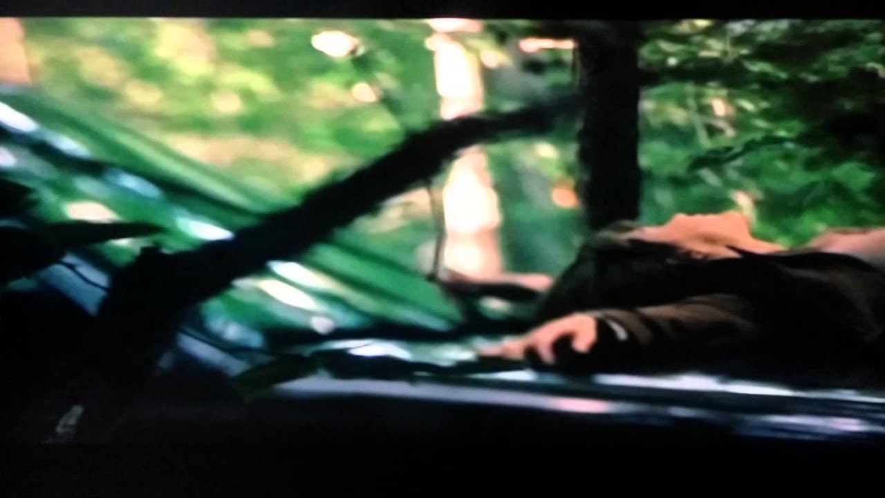 In The Cut Meg Ryan and Mark Ruffalo kissing