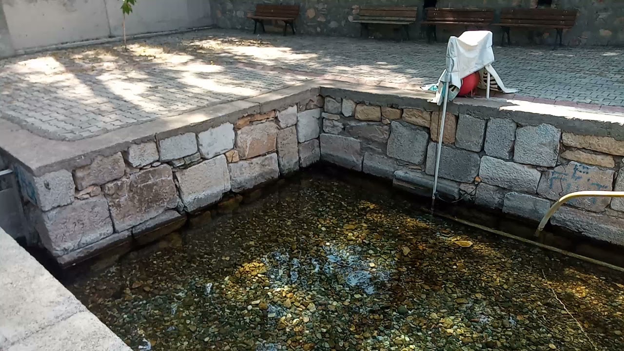 Zile acıpınar köyü sarılık.