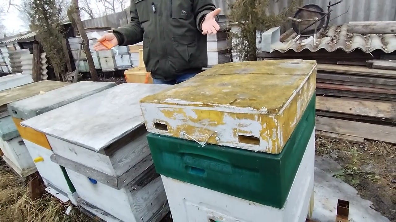 17марта. улей ППУ или из ДЕРЕВА какой выбрать пчеловоду