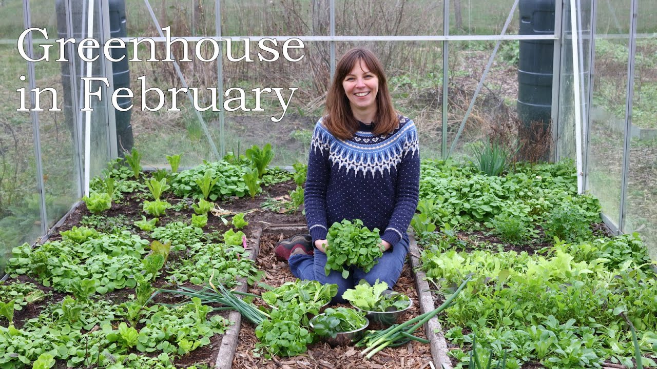 Greenhouse in February 2020