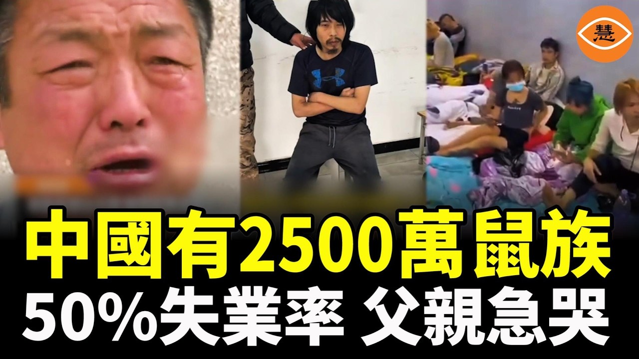 震驚！中國有2500萬鼠族，50%失業率，25歲青年「躺平」 父親急哭