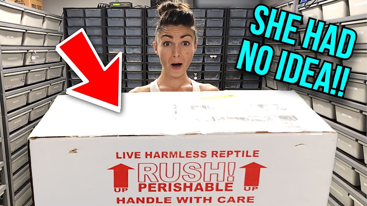I GOT HER A GIANT MONITOR LIZARD!!! EPIC MOTHER'S DAY UNBOXING!