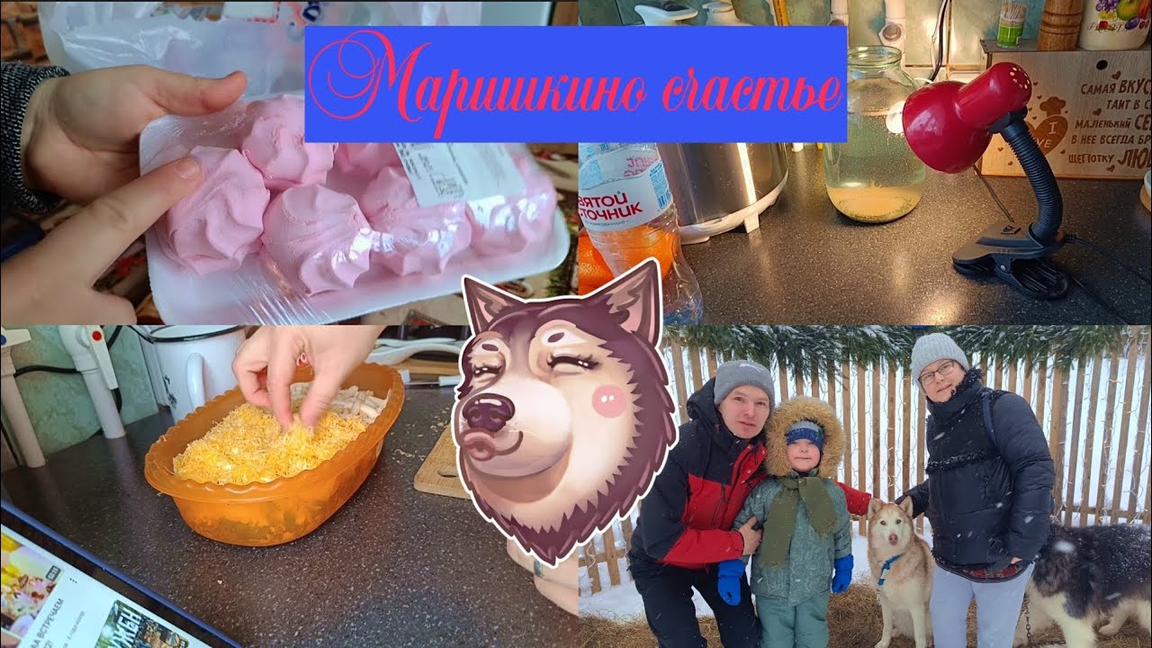 VLOG : Рачки, салат и хаски 🦀🥗🐶