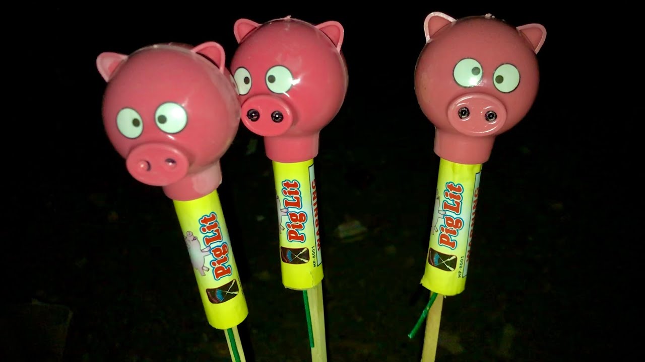 We Bought FIREWORKS & Lit Them at the Firework Store!