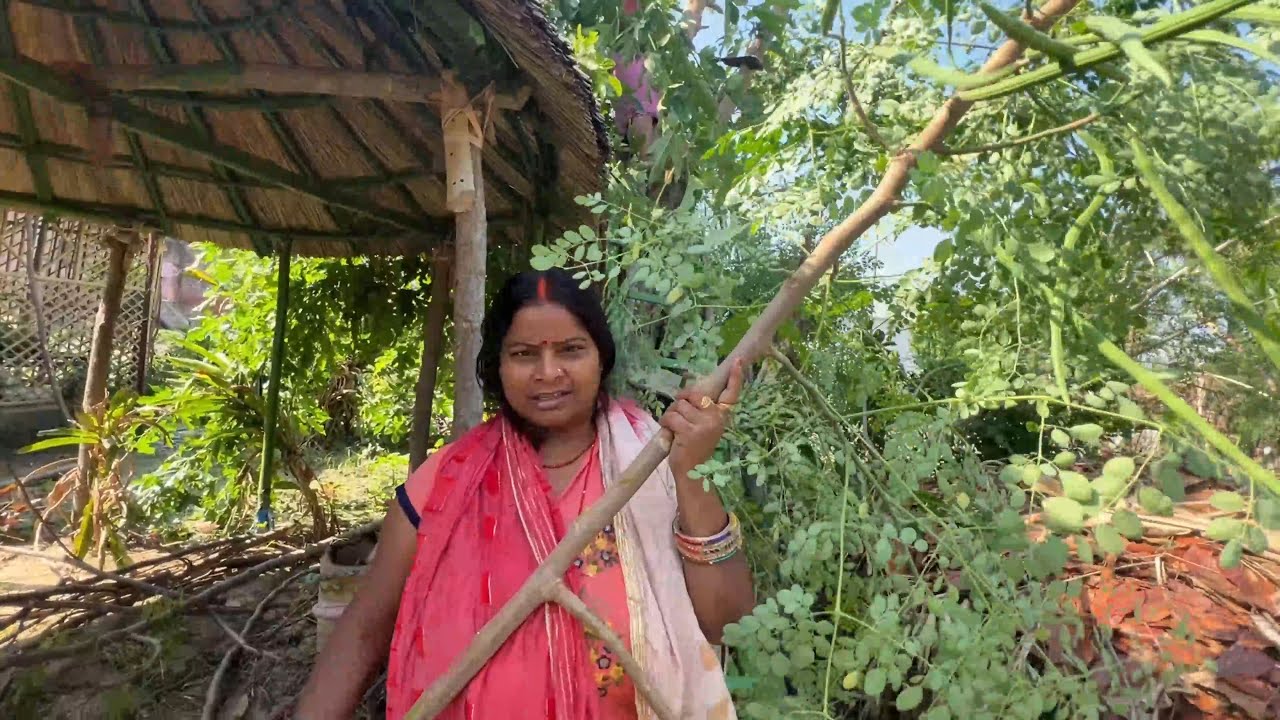 फार्महाउस में आज पेड़ कटेंगे और सब्जियां भी बेचने के लिए बाजार ले जाएंगे🌾🌿