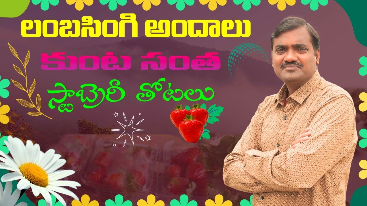 Lambasingi torist place లంబసింగి వెళ్లి స్ట్రాబెరీ తిందాం రండి