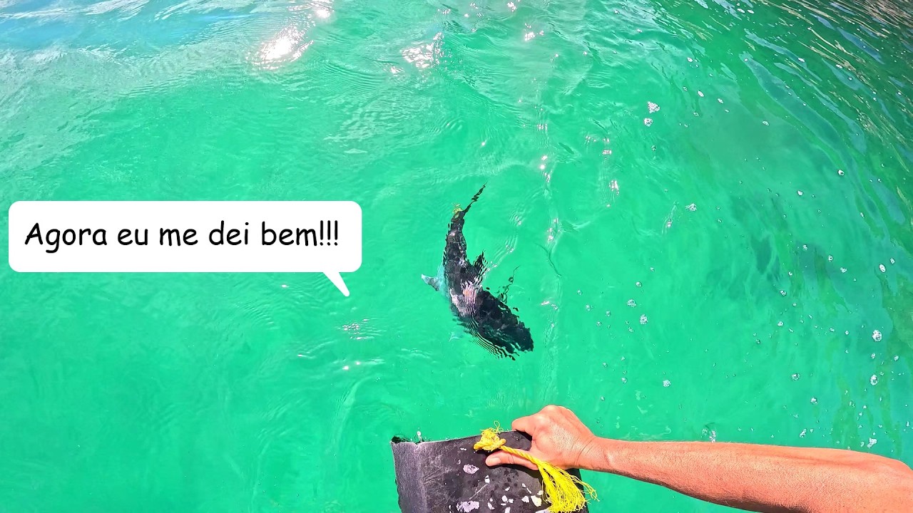 UMA PESCA DIFERENTE EM ARRAIAL DO CABO 03/05/25