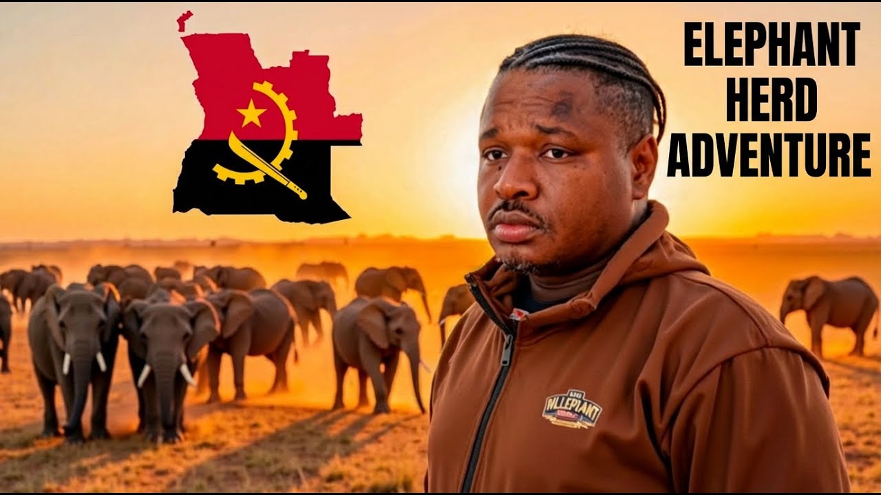 Passei um Dia com a Maior Manada de Elefantes de África