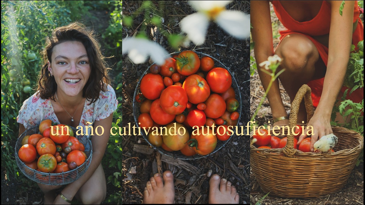 Así es cómo Cultivamos nuestra Comida en el Jardín en un Año