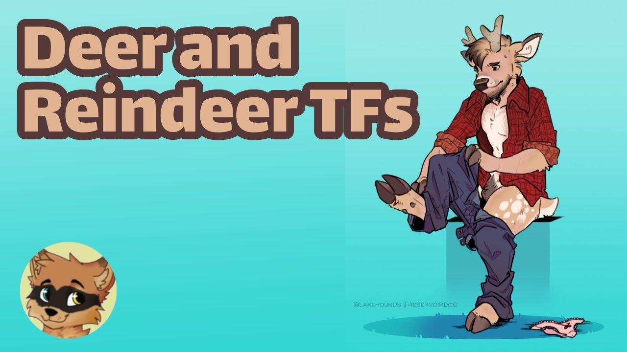 Deer/Reindeer Transformation / Deer/Reindeer TF (Christmas Special)