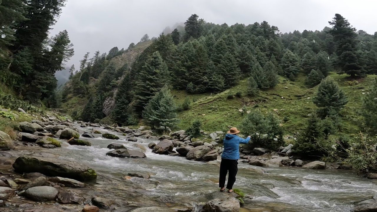 Fly fishing in Kashmir #fish #troutfishing #browntroutfishing Kashmir valley 