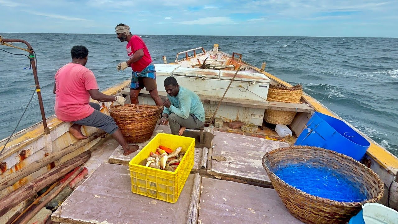 Ohh❗Final Day 💢 Deep Sea Fishing | Grouper Fishes | We get 💰💰💰