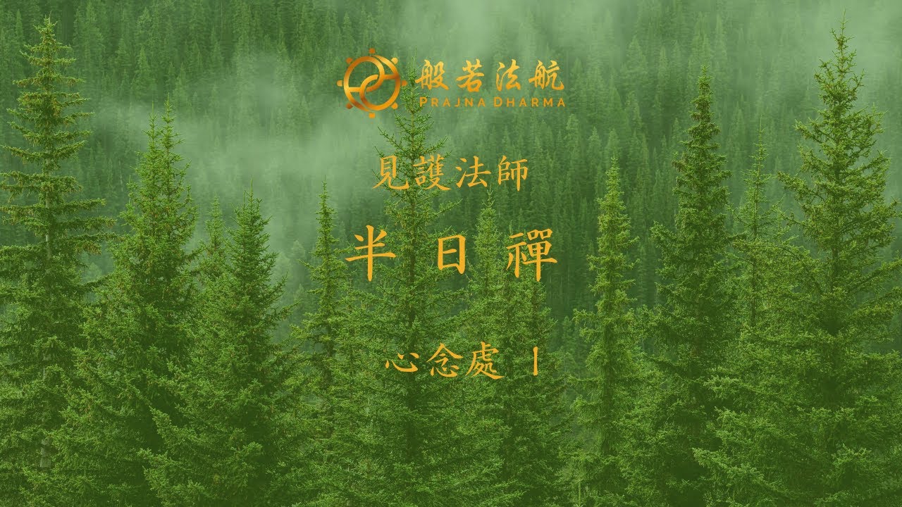見護法師  - 半日禪   四念處 3 心念處 1 知心染淨（共四支香）
