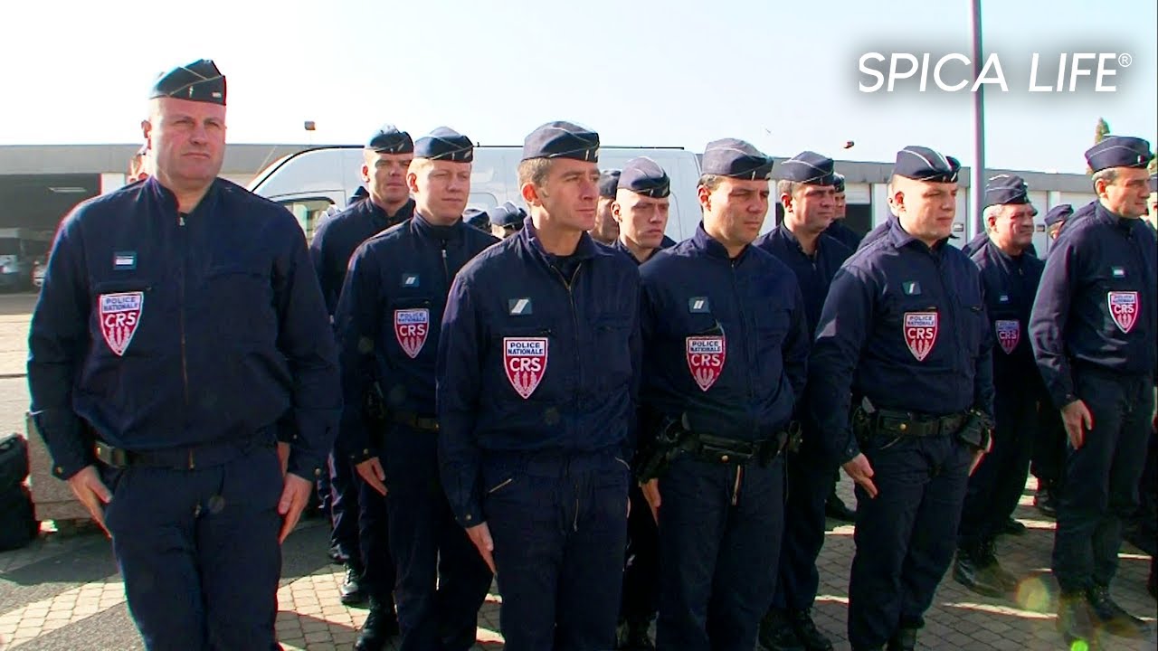 Missions &agrave; risque et vie de famille... La dure r&eacute;alit&eacute; des CRS