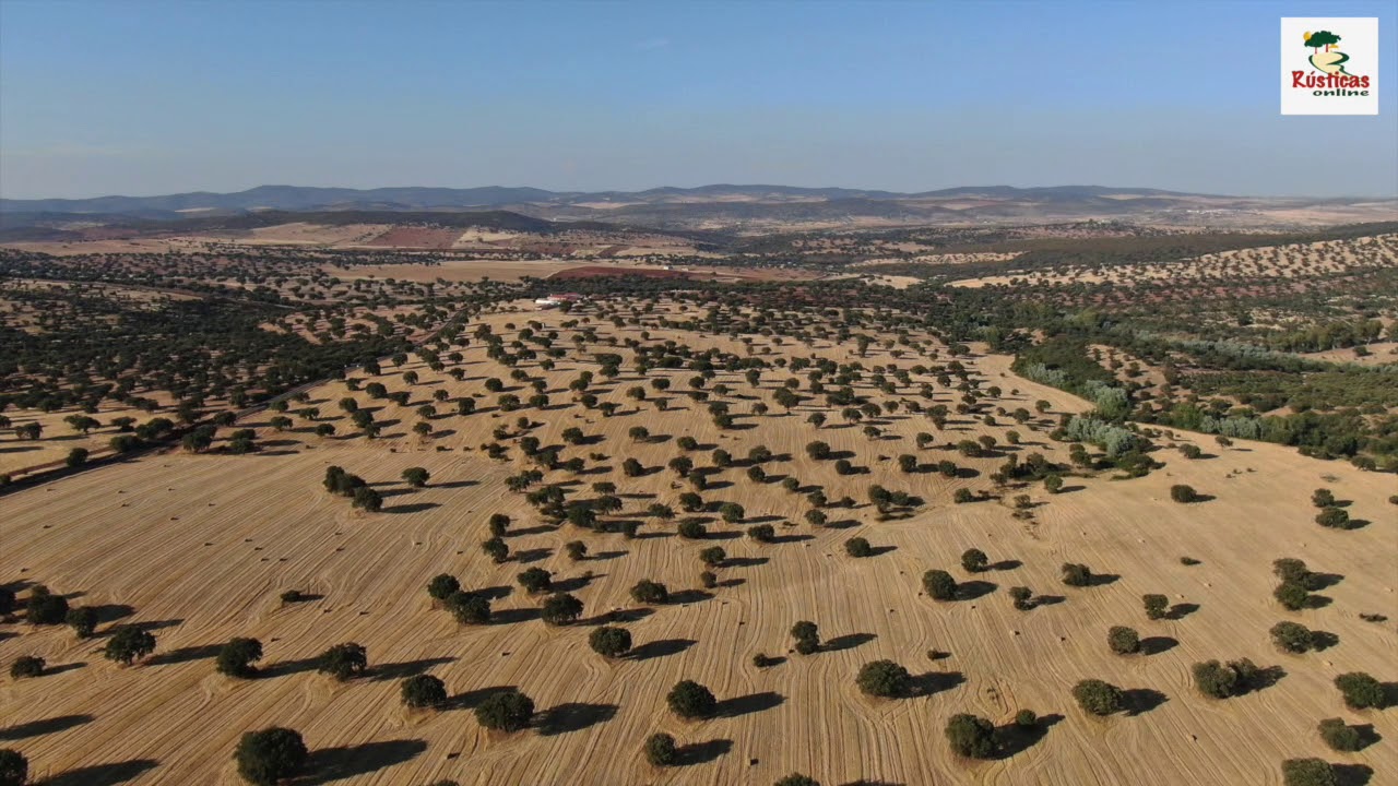 Finca Rustica Dehesa y Labor 360 ha Badajoz