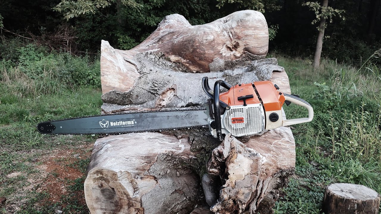 Stihl 084 and a huge stump !!!