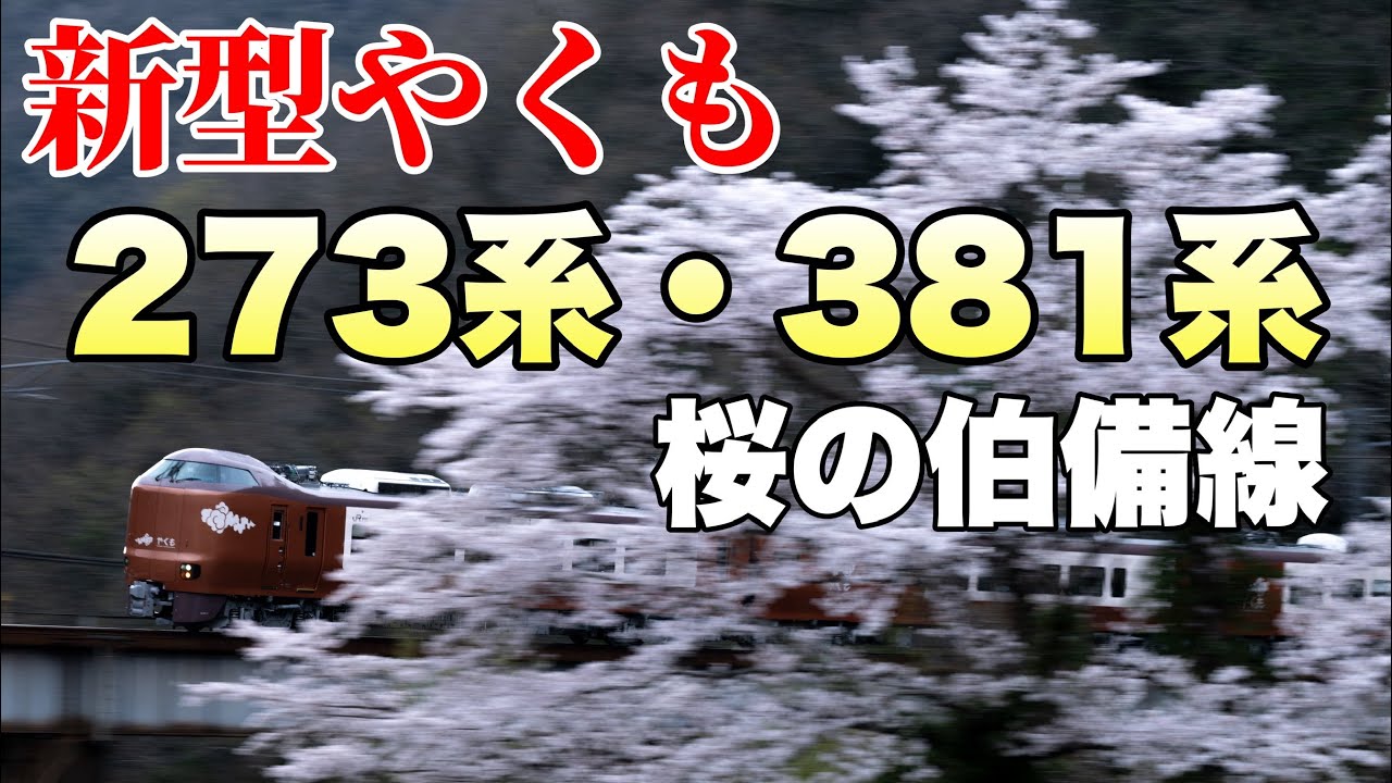 【鉄道写真】273系新型やくもデビュー！381系最後の桜を撮影！