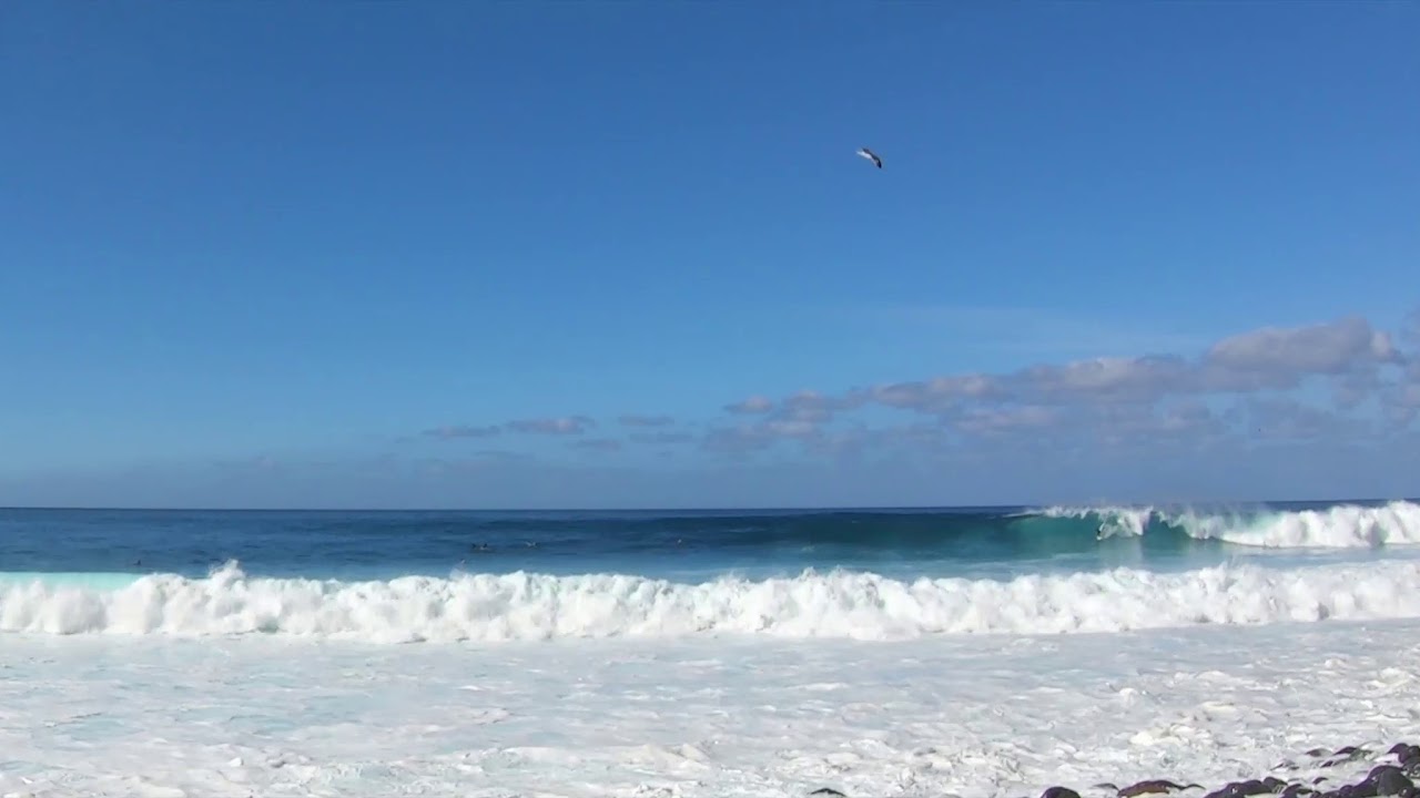 Surf Sesh Static Cam Paul do Mar - Madeira