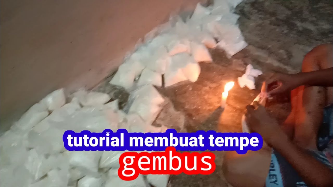 tutorial membuat tempe gembus