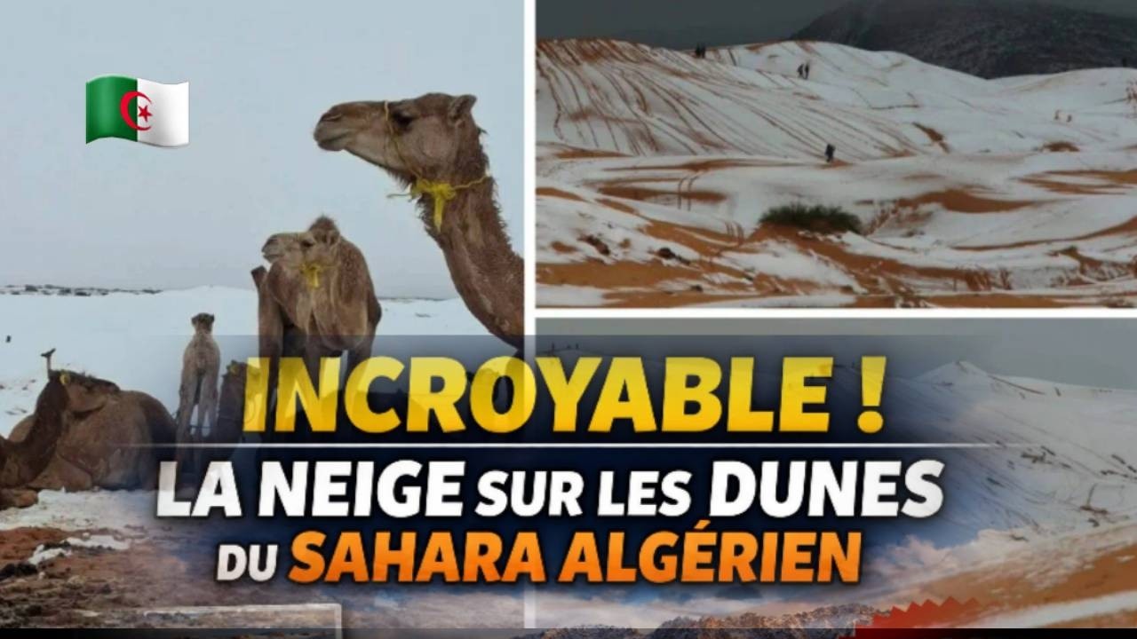 Du jamais vu ! Les dunes du Sahara algérien sous la neige