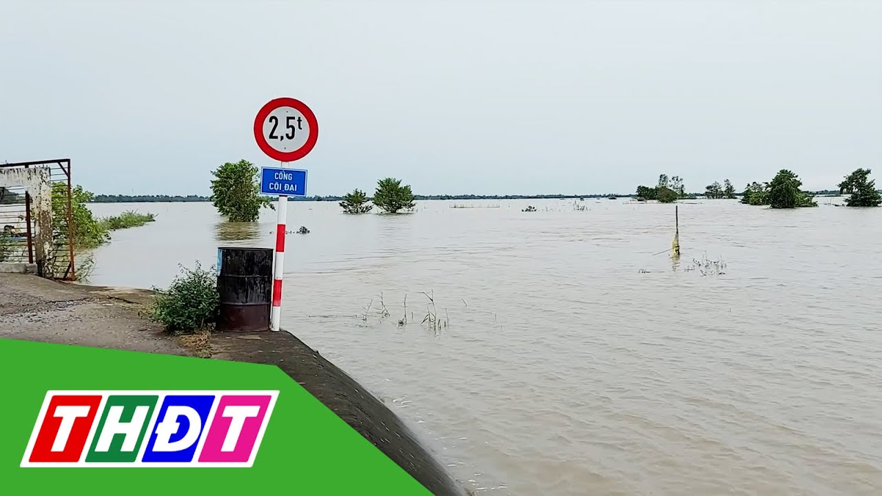 Đồng Th&aacute;p: Mực nước đầu nguồn l&ecirc;n nhanh v&agrave; đạt đỉnh giữa th&aacute;ng 10 | THDT