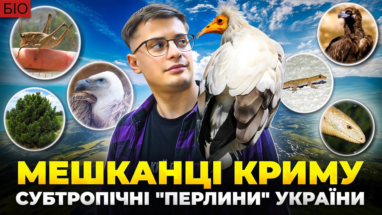 Український Крим - природа, флора і фауна. Особлива субтропічна 