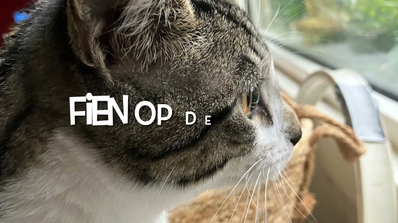 Niet echt makkelijk. En je moet ook maar durven