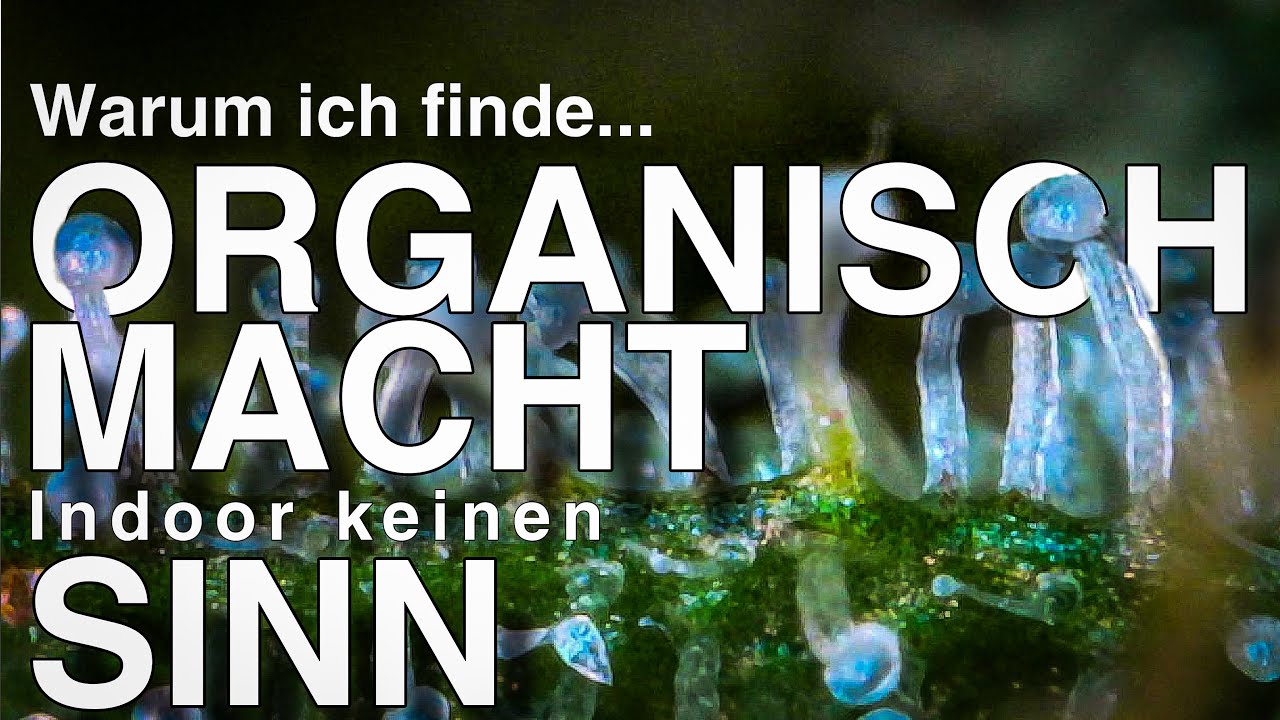 Warum ich finde... ORGANISCH MACHT Indoor keinen SINN ☝️