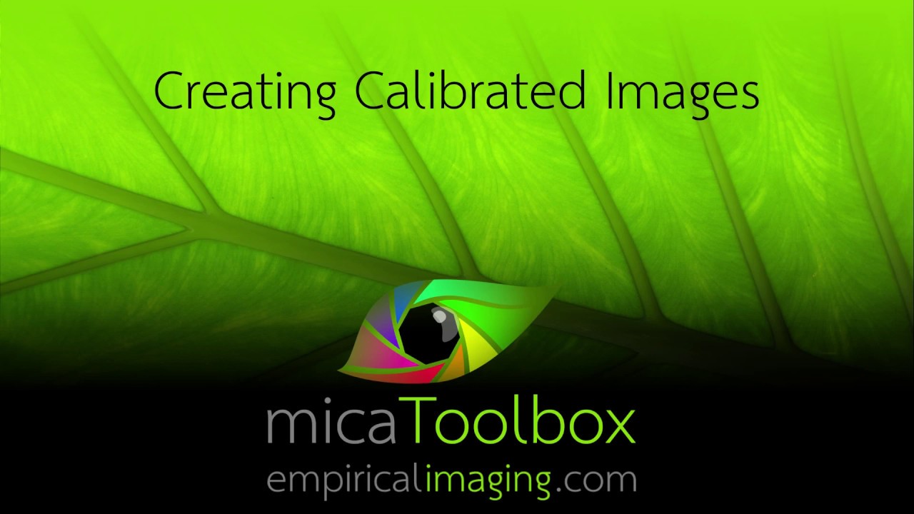 Create Calibrated mspec Multispectral Reflectance Image
