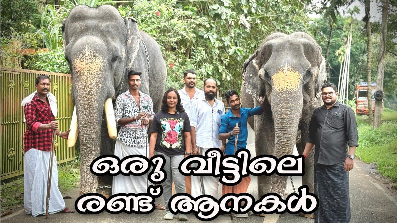 ഈ വീട്ടിൽ മക്കളെക്കാൾ സ്ഥാനം ആനകൾക്കാണ് | ചെറുകോൽ മഹാലക്ഷ്മി ശിവൻ| Parvathi| T4Trip