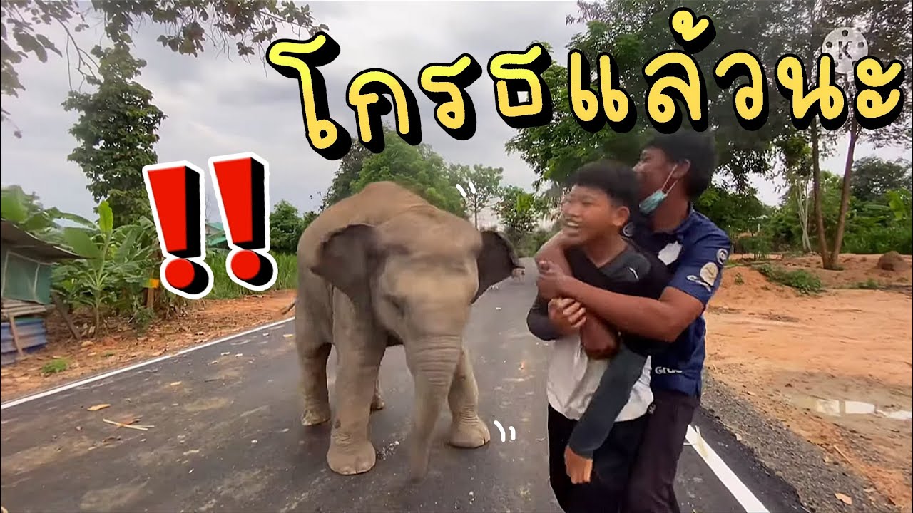 เมื่อพ่ออู๊ดขี่หลังพี่ป้าย❗️ อุ้มโมโห กลัวพี่ป้ายเจ็บ ⚠️ |อุ้มบุญ แฟมิลี่