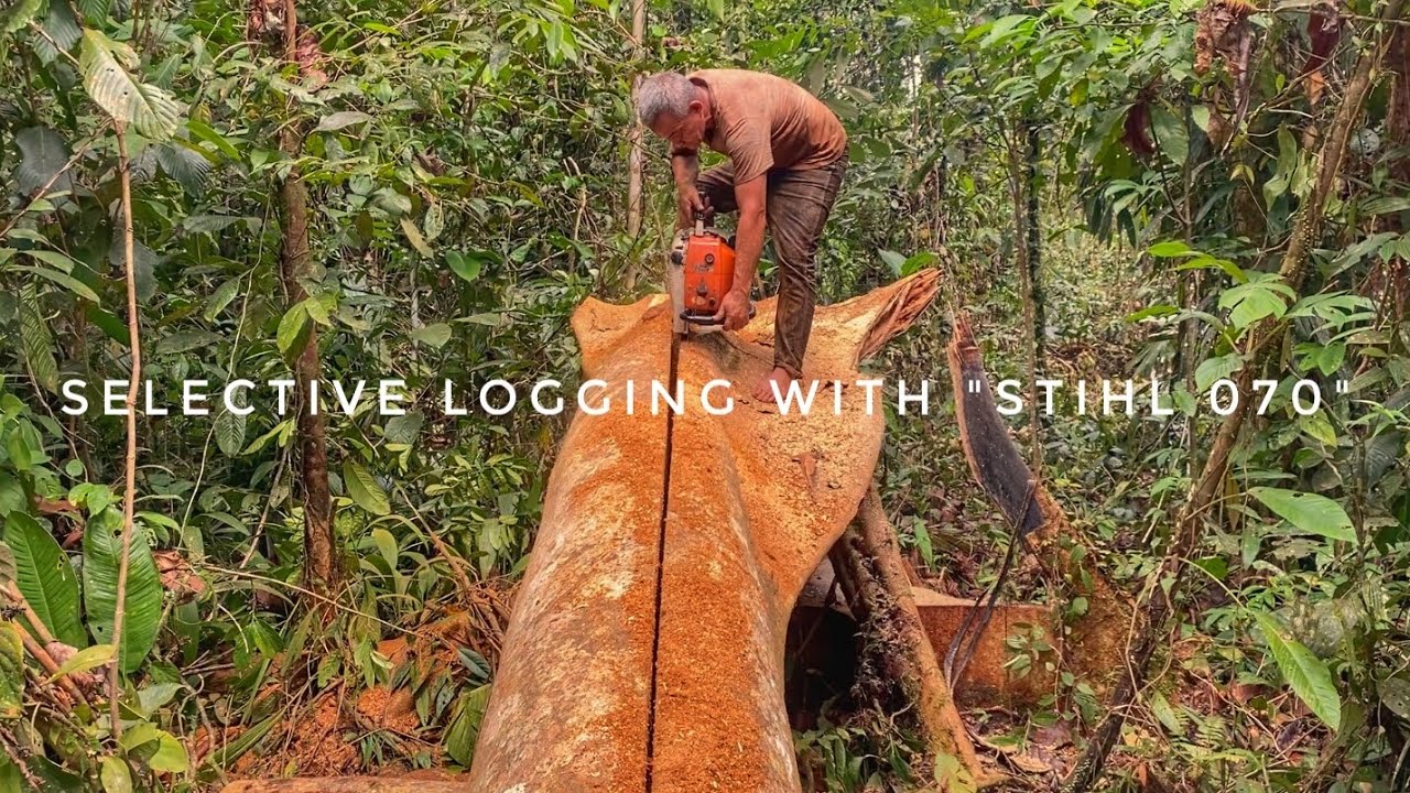 MEMBUAT BALOK UKURAN 5x10x400(CM) MENGGUNAKAN MESIN GERGAJI STIHL 070