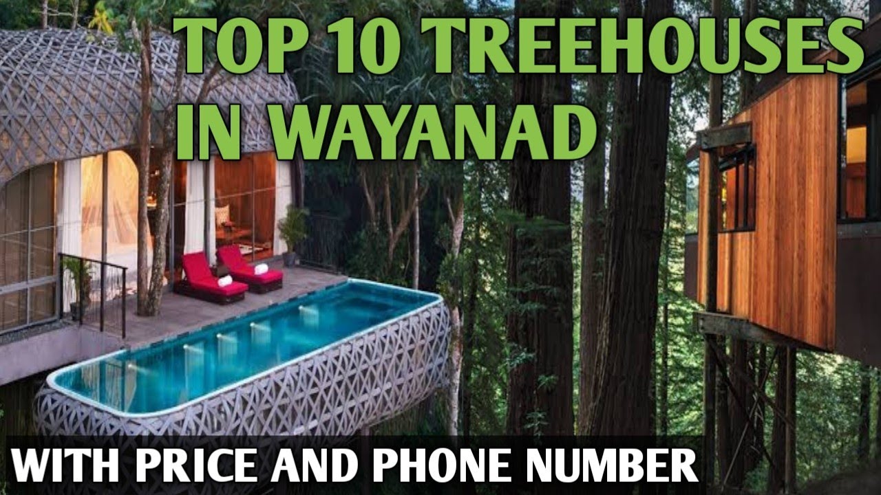 Best Treehouses in Wayanad| Best Resort in Wayanad | Wayanad Treehouse | Wayanad Resort