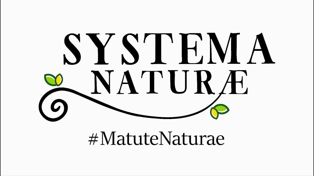 SYSTEMA NATURAE - Matute Naturae