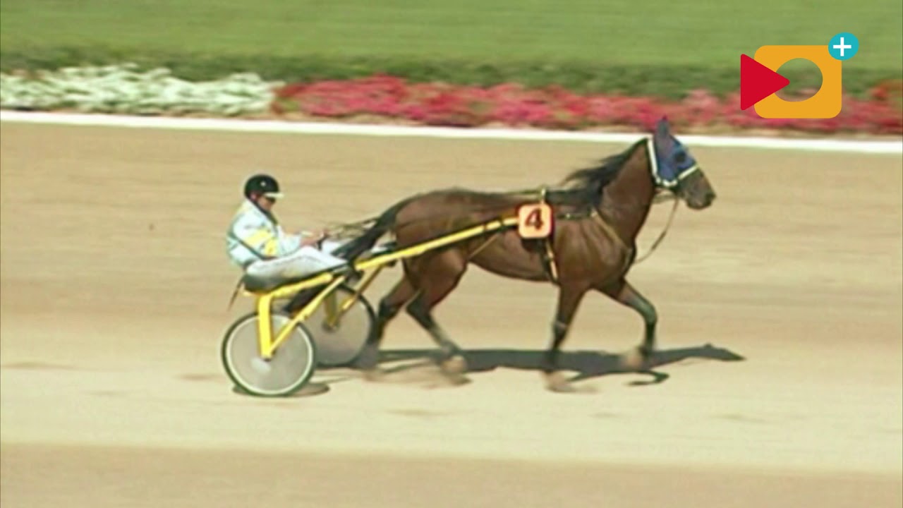 🏇 Trote en Mallorca