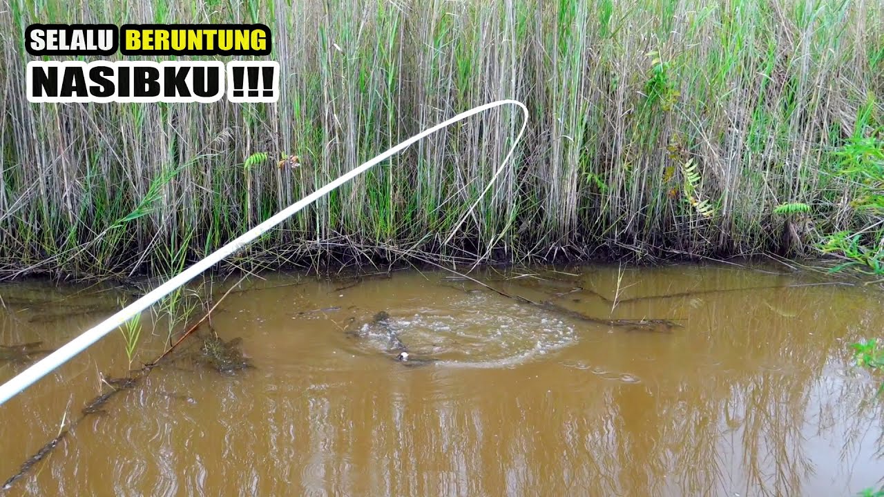 Gak kira&sup2; rejeki orang ini hanya mancing ikan disatu tempat #SG-264
