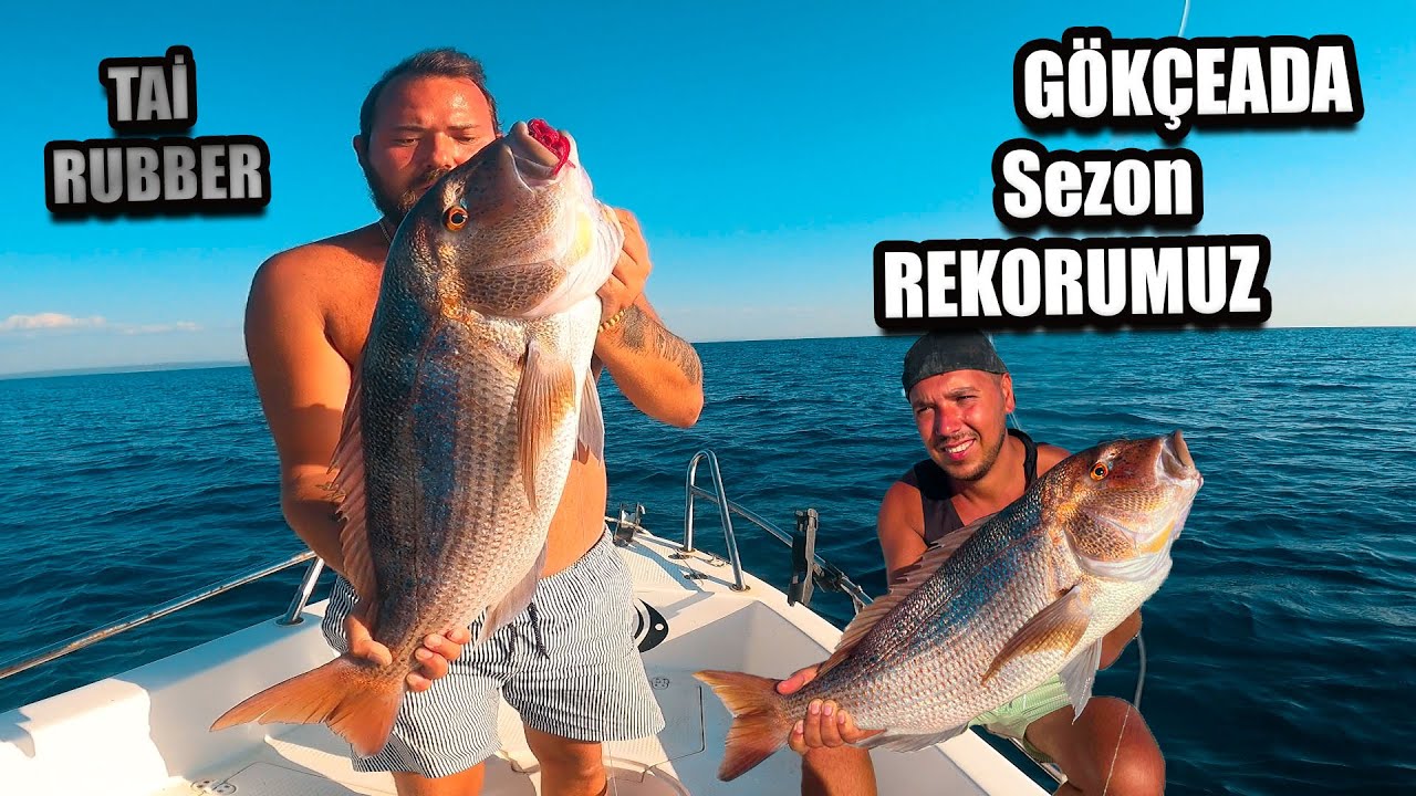 Aradığımızı Sonunda Bulduk !! ÇANAKKALE TAİ RUBBER İLE BALIK AVI #tairubber #sinarit