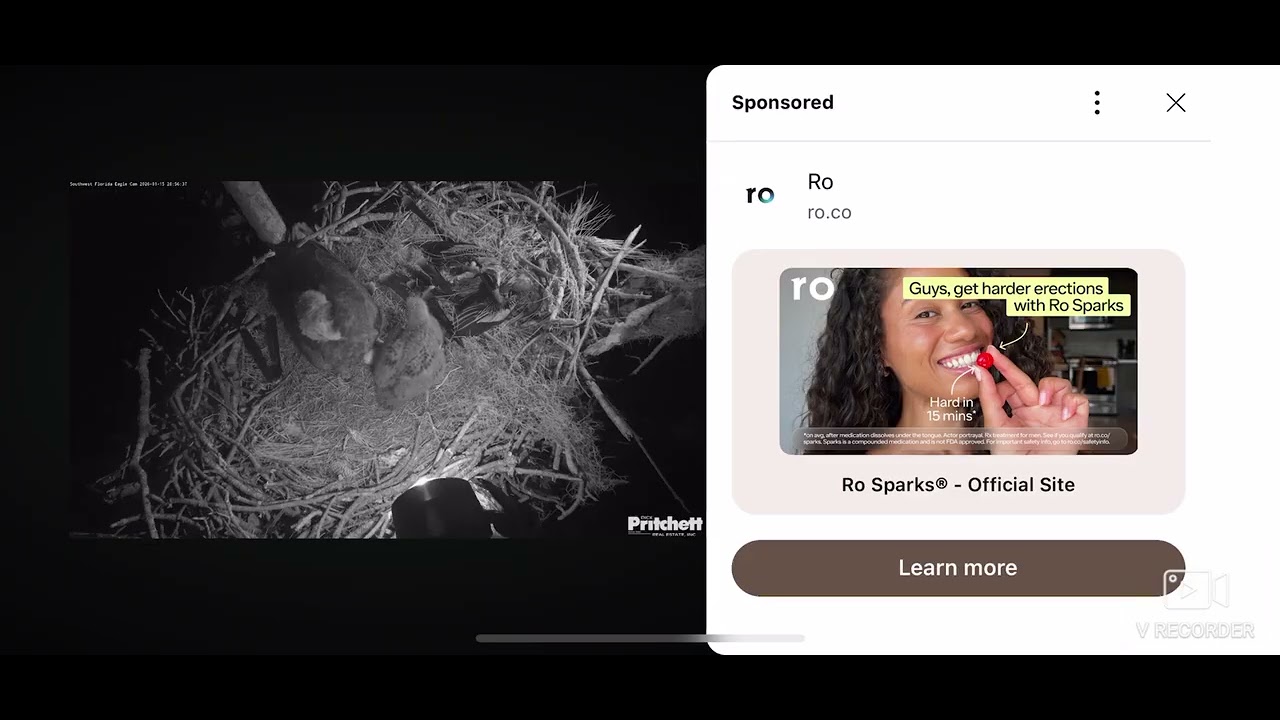 SWFL Bald Eagles 01/15/2026 20:49