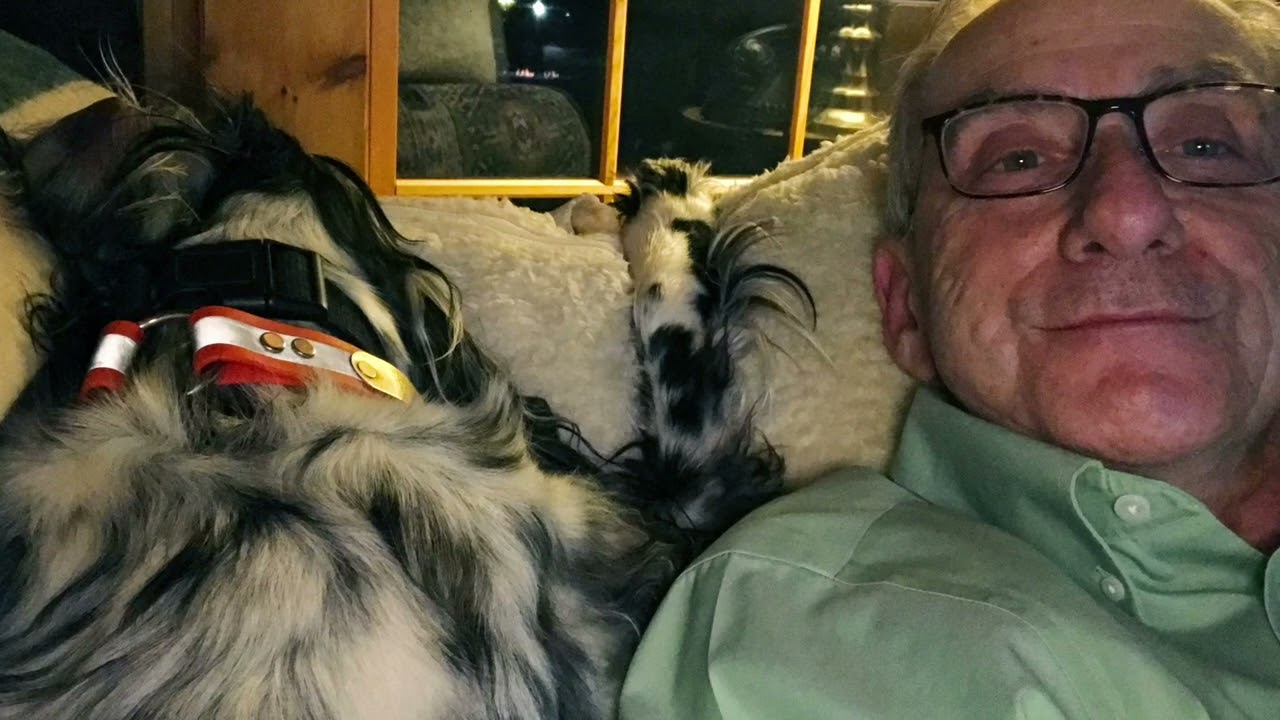 Pet Friends   2021