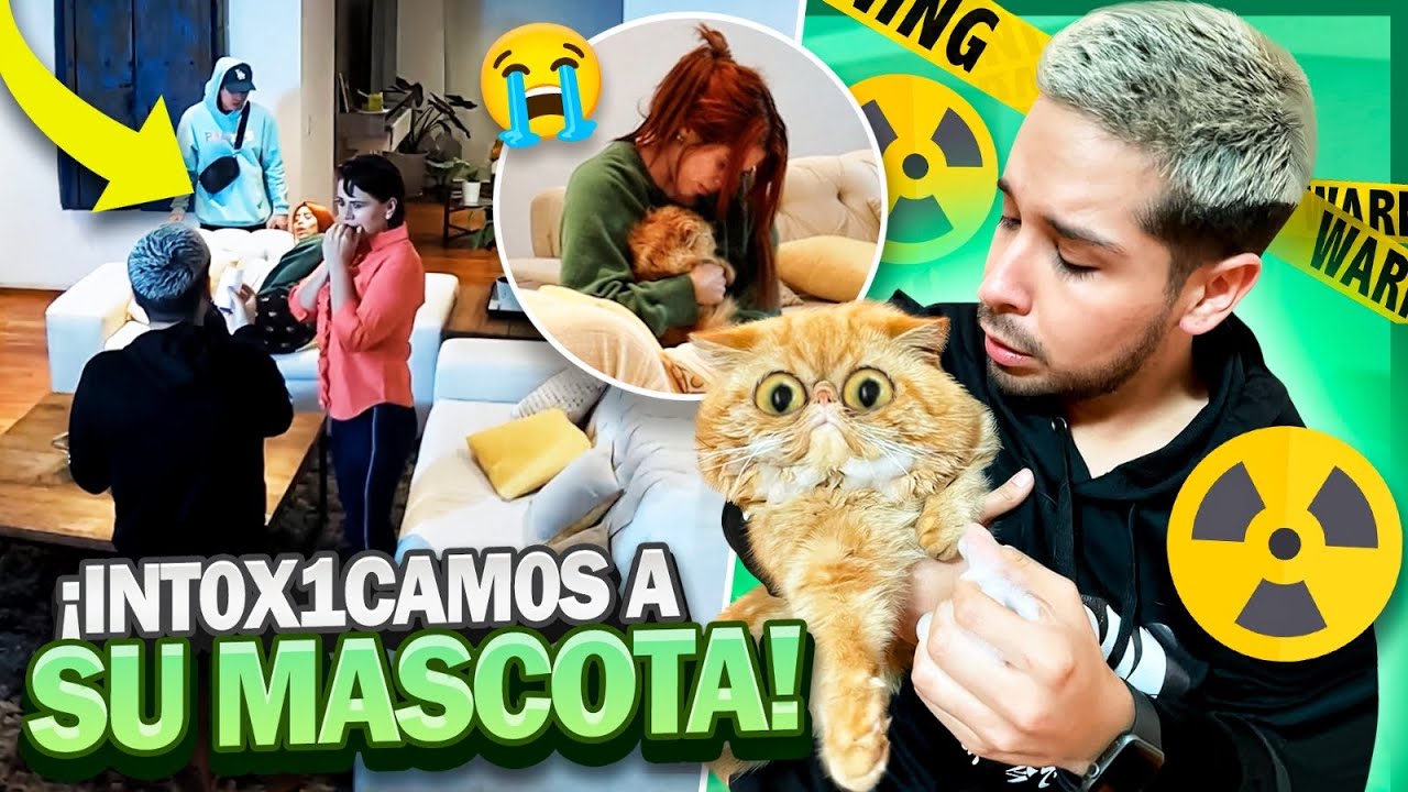 LE HICE LA BR0MA MÁS PESADA A KIM Y SUAVECITO 😈 No soportaron las panzonas | ALEX FLORES 🌷