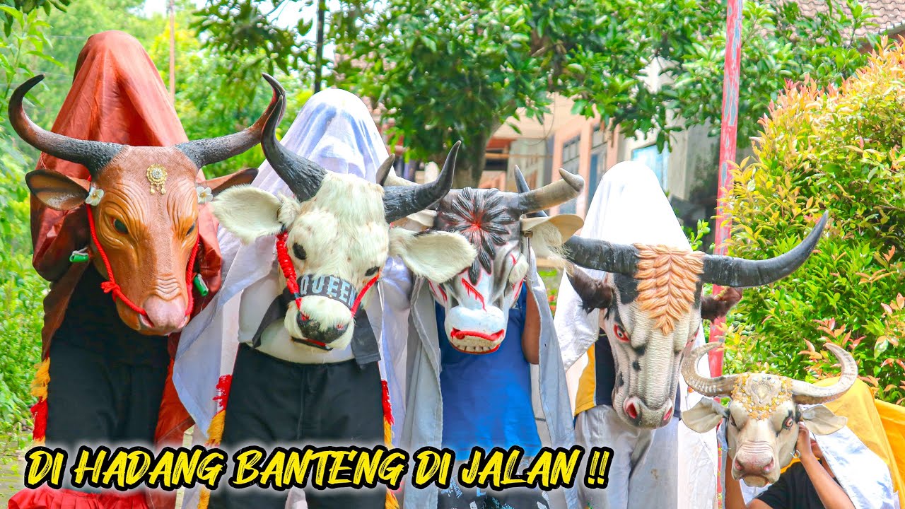 DI HADANG BANTENG DI JALAN 😲‼️#bantengan #barongan 